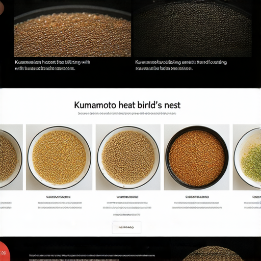 熊本熱度與燕窩的烹飪方式圖片，展示煎、煮、煲的過程，強調燕窩的神奇功效，食材新鮮與技術巧妙結合，呈現健康美味的料理。